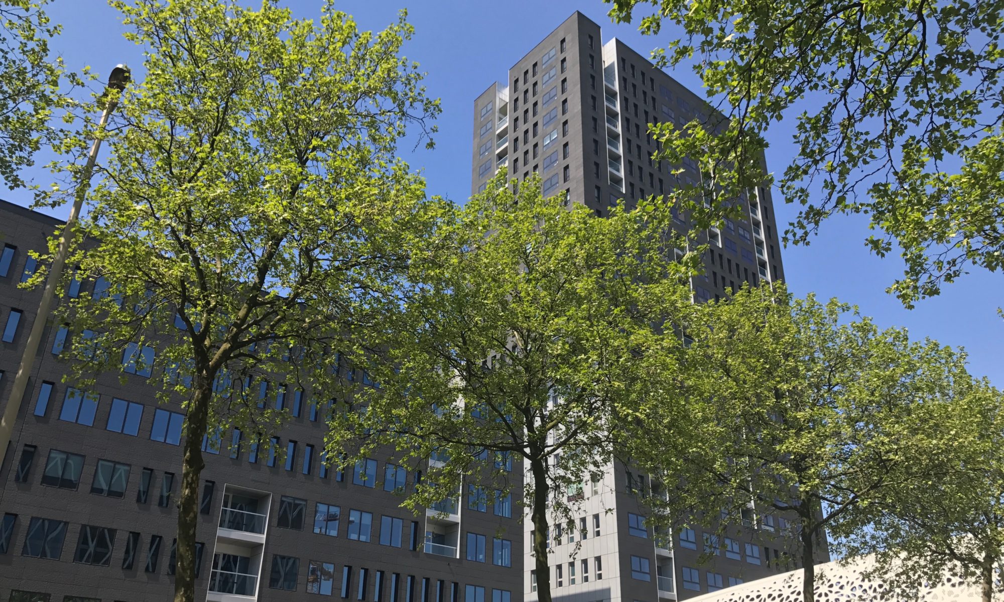 London Tower among the trees on ’t Eilandje, seen from the street